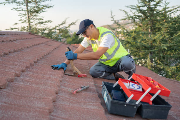 Roof Gutter Cleaning in Britton, SD